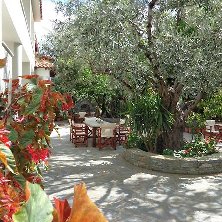 Faros Hotel Milopotamos  Ngoại thất bức ảnh
